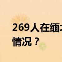 269人在缅北被抓！“金主”落网 这是什么情况？