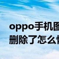 oppo手机图片彻底删除怎么恢复（手机图片删除了怎么恢复）