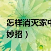 怎样消灭家中老鼠最有效（如何消灭老鼠家有妙招）