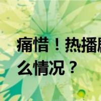 痛惜！热播剧制片人去世！年仅30岁 这是什么情况？