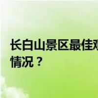 长白山景区最佳观景点被圈起单独收费？官方回应 这是什么情况？