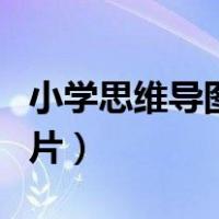 小学思维导图图片大全（小学思维导图简单图片）