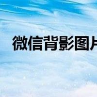 微信背影图片大全男（微信背影图片大全）