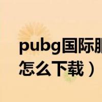 pubg国际服怎么下载最新版（pubg国际服怎么下载）