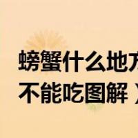 螃蟹什么地方不能吃图片大全（螃蟹什么地方不能吃图解）