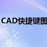 CAD快捷键图片 命令大全（cad快捷键图片）