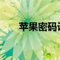 苹果密码设置4位数（苹果密码设置）