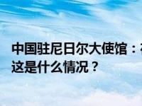 中国驻尼日尔大使馆：在尼侨胞请尽快赴第三国或回国暂避 这是什么情况？