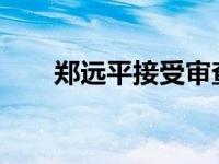 郑远平接受审查调查 这是什么情况？