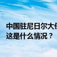 中国驻尼日尔大使馆：在尼侨胞请尽快赴第三国或回国暂避 这是什么情况？