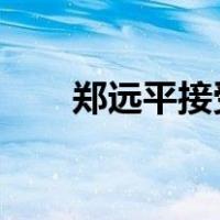 郑远平接受审查调查 这是什么情况？