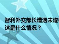 智利外交部长遭遇未遂袭击！袭击者持枪恐吓试图逼停车辆 这是什么情况？