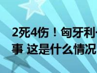 2死4伤！匈牙利一架1951年的飞机在航展出事 这是什么情况？