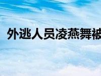 外逃人员凌燕舞被遣返回国 这是什么情况？