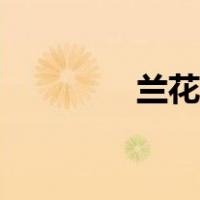 兰花画法口诀（兰花画法）