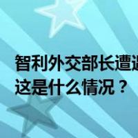 智利外交部长遭遇未遂袭击！袭击者持枪恐吓试图逼停车辆 这是什么情况？