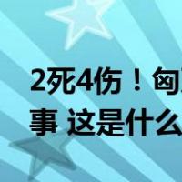 2死4伤！匈牙利一架1951年的飞机在航展出事 这是什么情况？