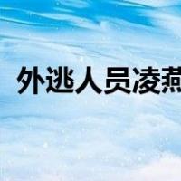 外逃人员凌燕舞被遣返回国 这是什么情况？