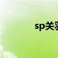 sp关羽怎么玩（关羽怎么玩）