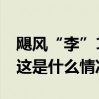 飓风“李”10日将影响美国东海岸部分地区 这是什么情况？