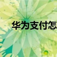 华为支付怎么用指纹（华为支付怎么用）