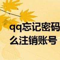 qq忘记密码手机号也换了怎么办（手机qq怎么注销账号）