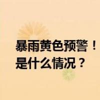 暴雨黄色预警！涉12省份，局地有大暴雨和强对流天气 这是什么情况？