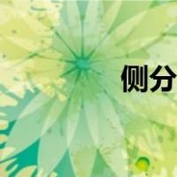 侧分内扣短发（内扣短发）