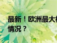 最新！欧洲最大核电站所在地遇袭 这是什么情况？