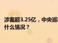 涉案超3.25亿，中央巡视后落马的“老虎”被判死缓！ 这是什么情况？