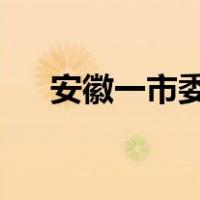 安徽一市委副书记被查 这是什么情况？