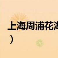 上海周浦花海游玩攻略一日游（上海周浦花海）