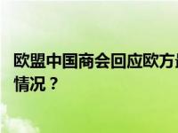 欧盟中国商会回应欧方最新电动汽车反补贴调查！ 这是什么情况？