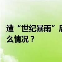 遭“世纪暴雨”后香港再发暴雨警告信号，全港停课 这是什么情况？