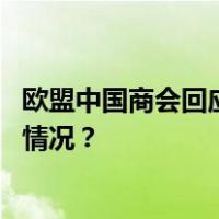 欧盟中国商会回应欧方最新电动汽车反补贴调查！ 这是什么情况？