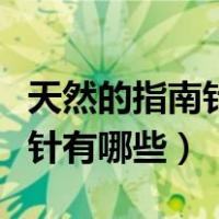 天然的指南针有哪些二年级下册（天然的指南针有哪些）