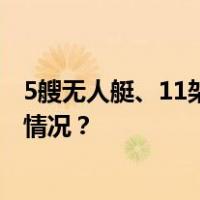 5艘无人艇、11架无人机！俄国防部宣布全部摧毁 这是什么情况？