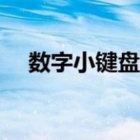 数字小键盘怎么开启（小键盘怎么开启）