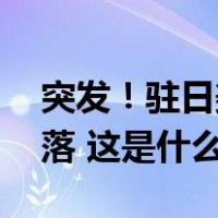 突发！驻日美军1小时内4架“鱼鹰”紧急降落 这是什么情况？