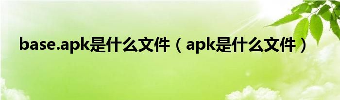 base.apk是什么文件（apk是什么文件）
