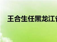 王合生任黑龙江省副省长 这是什么情况？