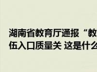 湖南省教育厅通报“教师致小学生额部受伤”：严把教师队伍入口质量关 这是什么情况？