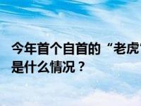 今年首个自首的“老虎”！中央巡视组原副组长主动投案 这是什么情况？