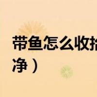 带鱼怎么收拾干净视频教程（带鱼怎么收拾干净）