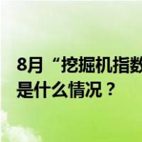 8月“挖掘机指数”哪家强？15省份创今年以来最好成绩 这是什么情况？