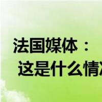 法国媒体：“基地”组织威胁袭击法国和瑞典 这是什么情况？