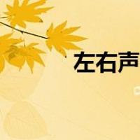 左右声道怎么设置（左右声道）
