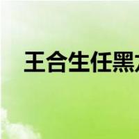 王合生任黑龙江省副省长 这是什么情况？