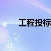 工程投标流程步骤（工程投标流程）
