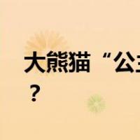 大熊猫“公主”“融融”去世 这是什么情况？